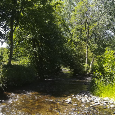 Rivière La Lesse à 50 mt